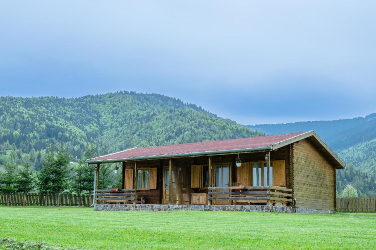 Biotour Camping & Restaurant Ghimes-Faget Luaran gambar