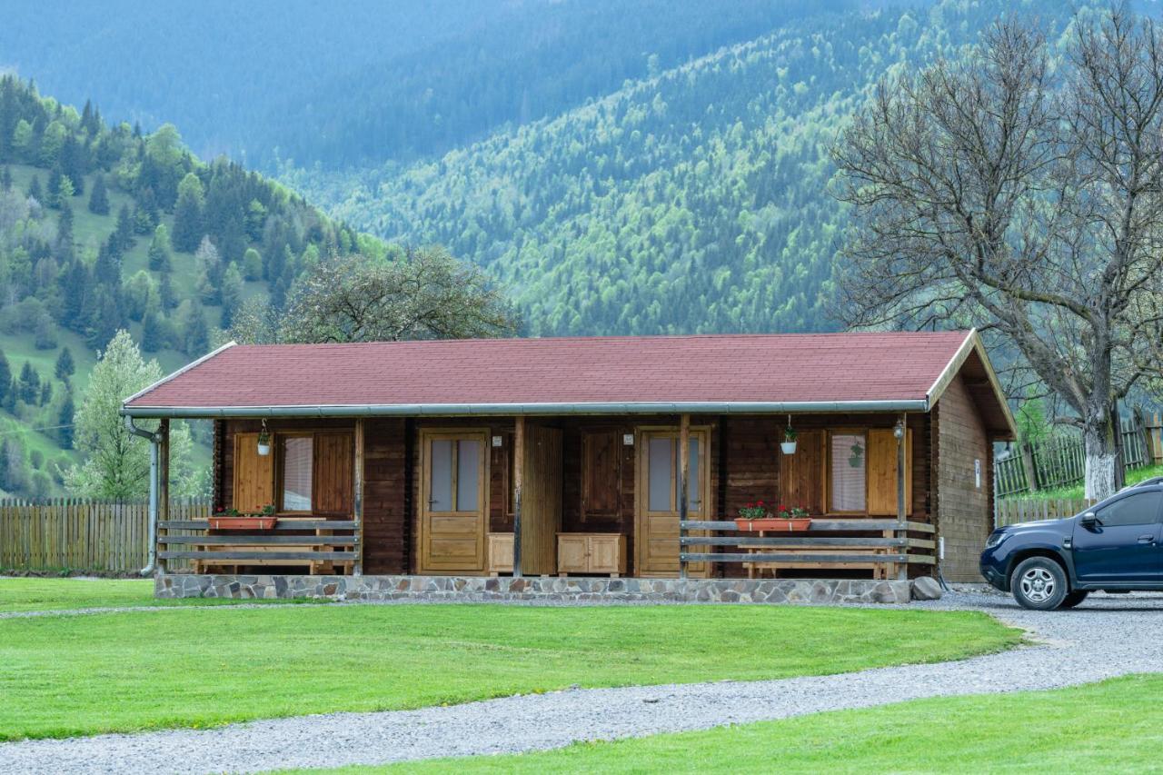 Biotour Camping & Restaurant Ghimes-Faget Luaran gambar