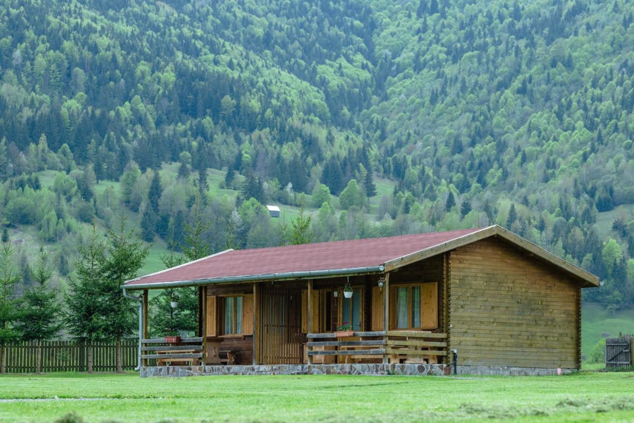 Biotour Camping & Restaurant Ghimes-Faget Luaran gambar